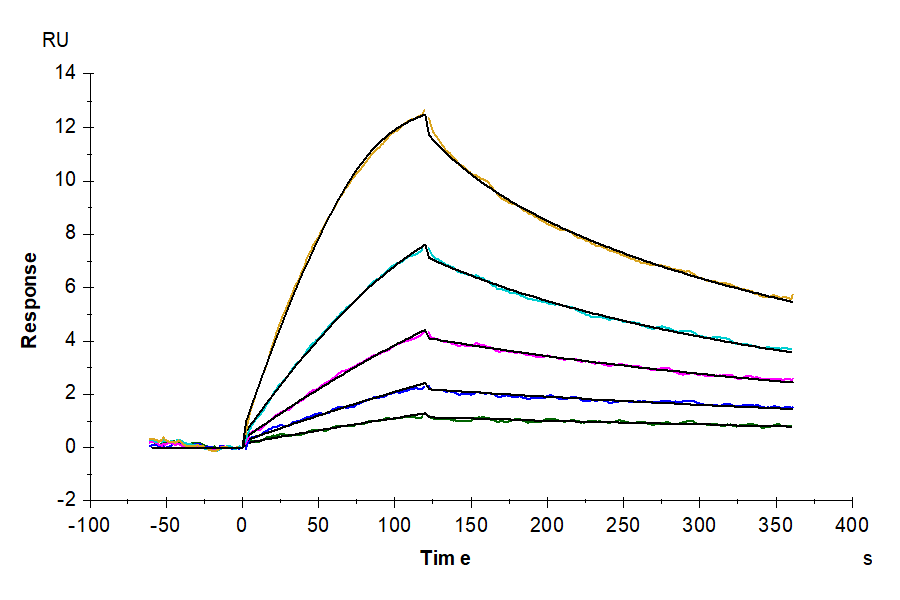 Mouse GDF15 Protein (LTP10082)