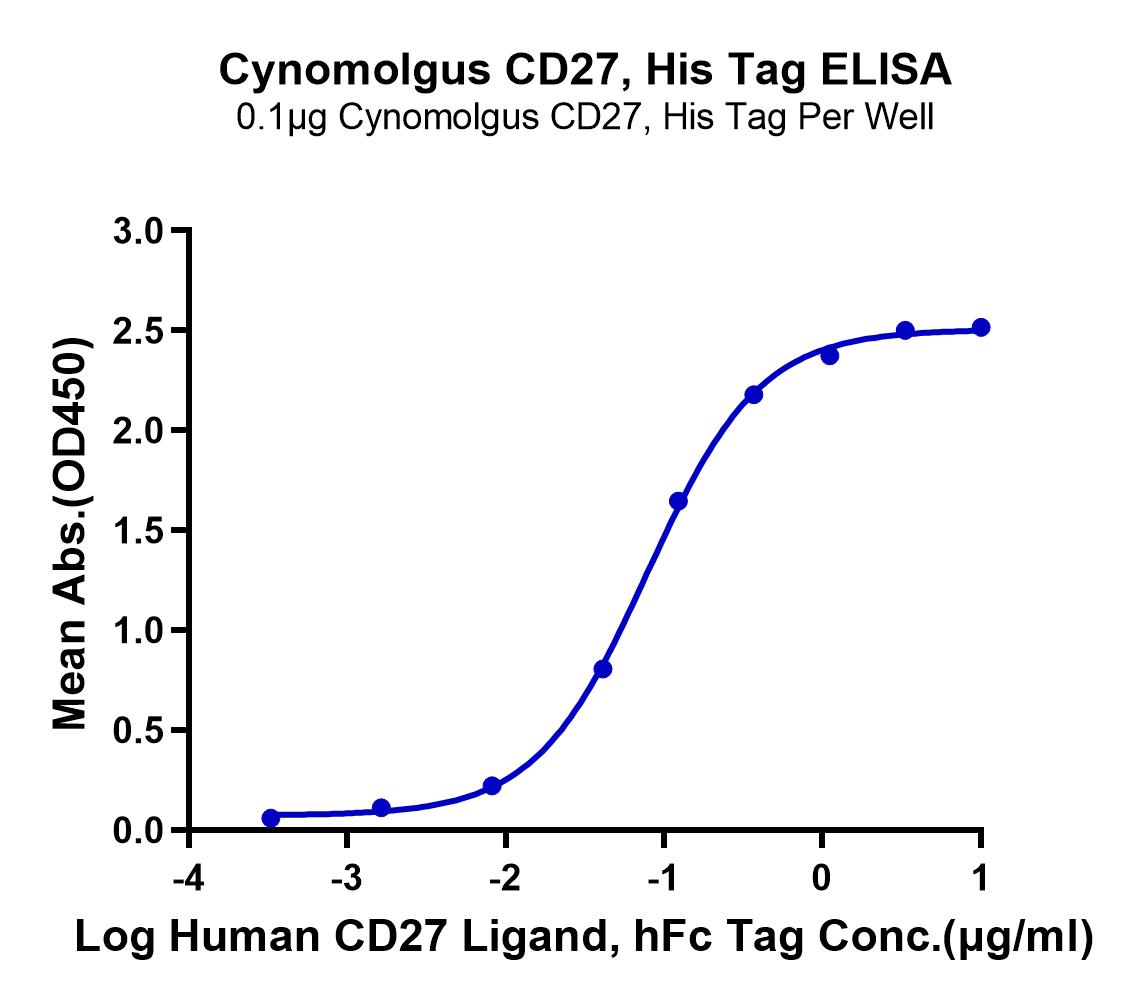 Cynomolgus CD27/TNFRSF7 Protein (LTP10095)