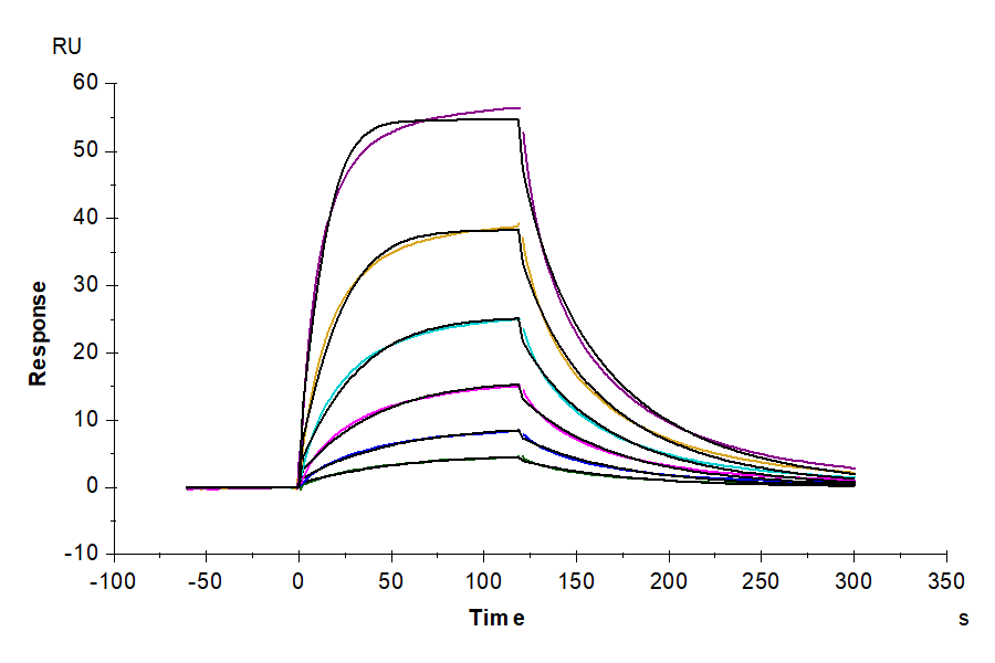 Cynomolgus CD200 R1/CRTR2 Protein (LTP10133)