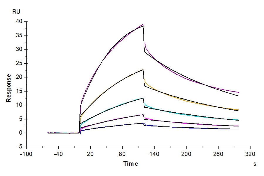 Mouse CD47 Protein (LTP10176)