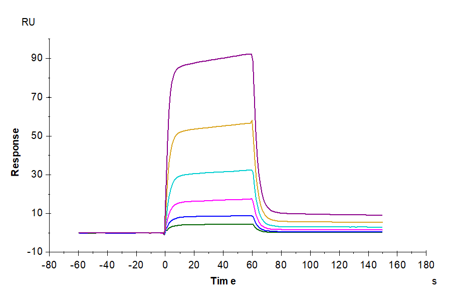 Biotinylated Human B7-H6 Protein (LTP10201)