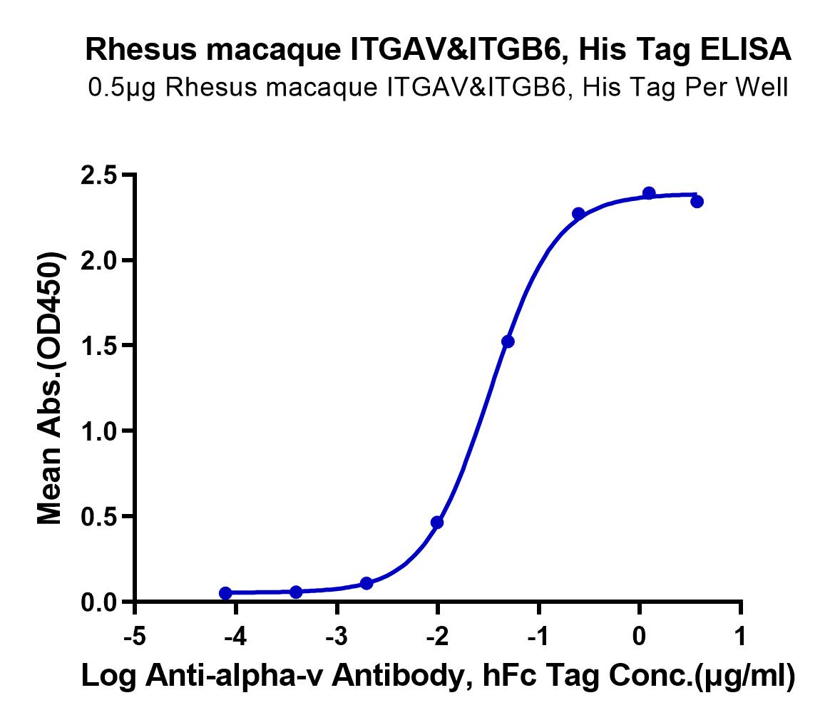 Rhesus macaque Integrin alpha V beta 6 (ITGAV&ITGB6) Heterodimer Protein (LTP10203)