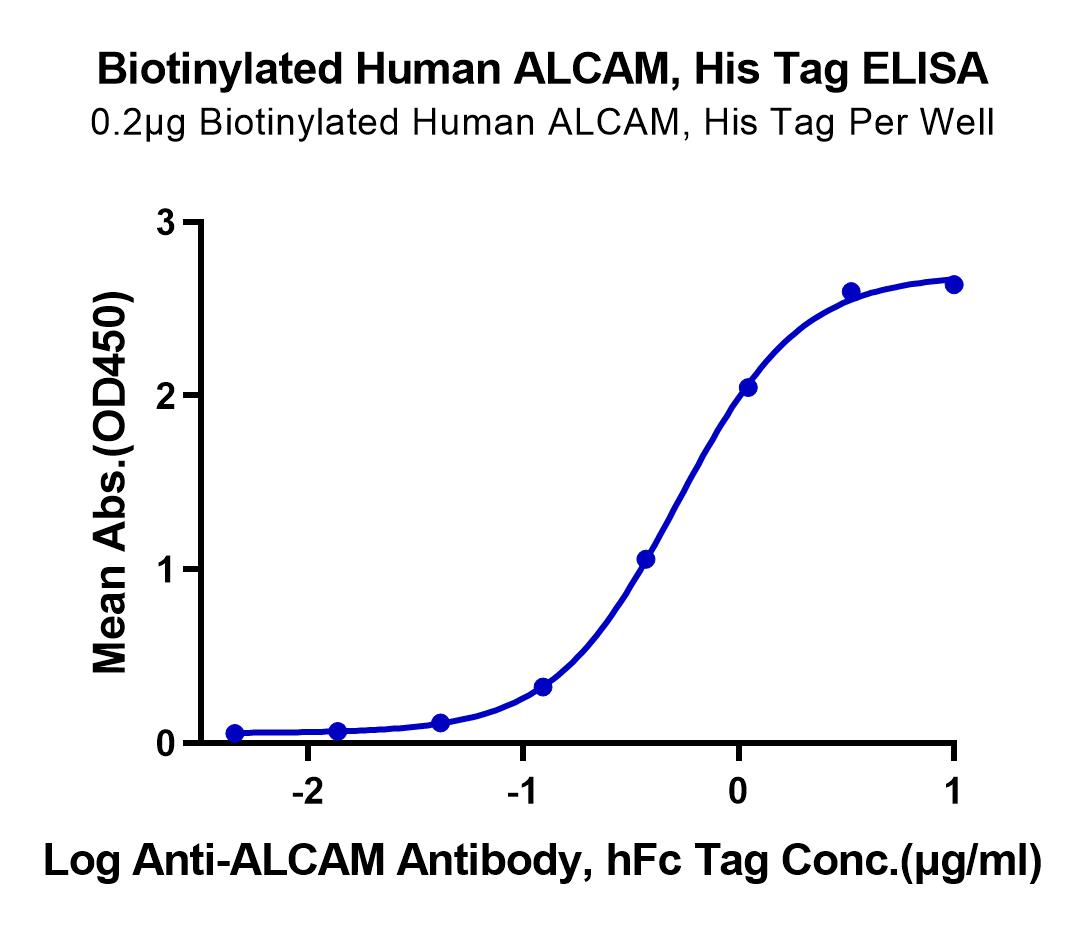 Biotinylated Human ALCAM/CD166 Protein (LTP10231)