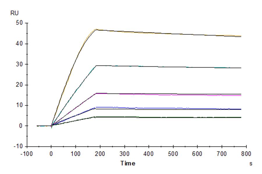 Human GDF15 Protein (LTP10238)