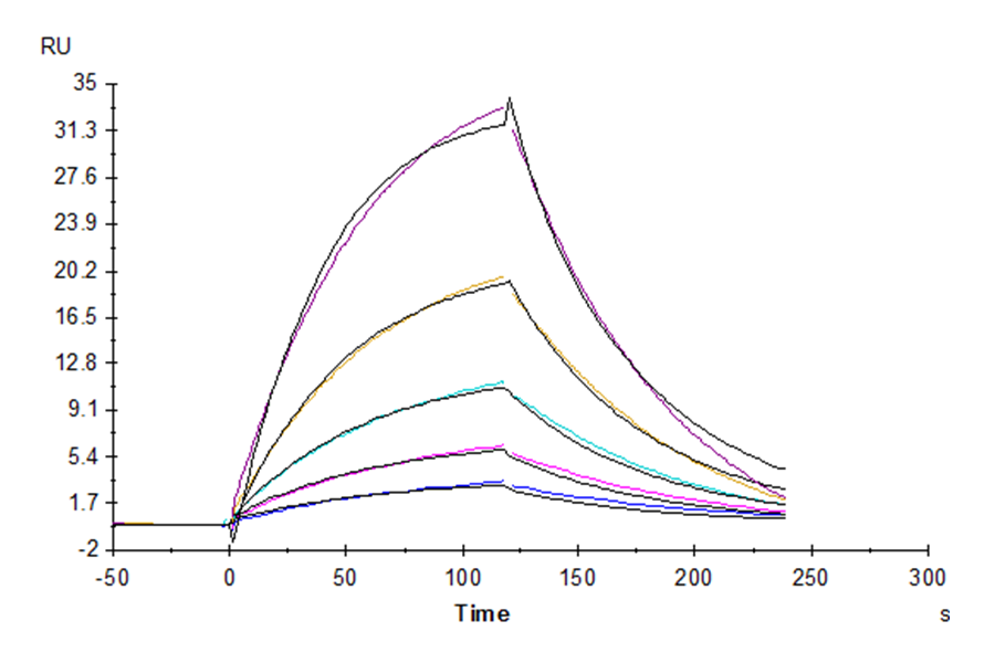 Human CD96/TACTILE Protein (LTP10245)