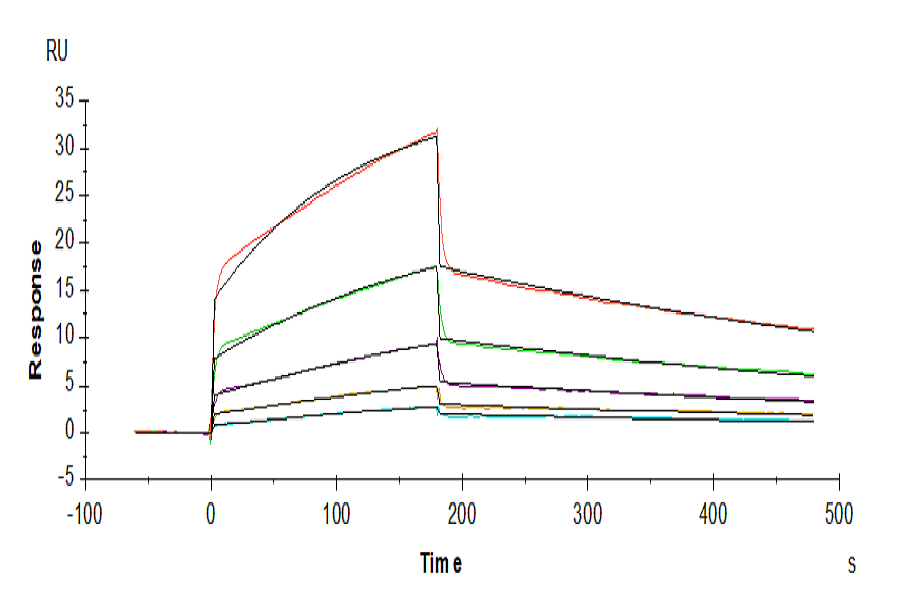 Human NKp30/NCR3/CD337 Protein (LTP10249)