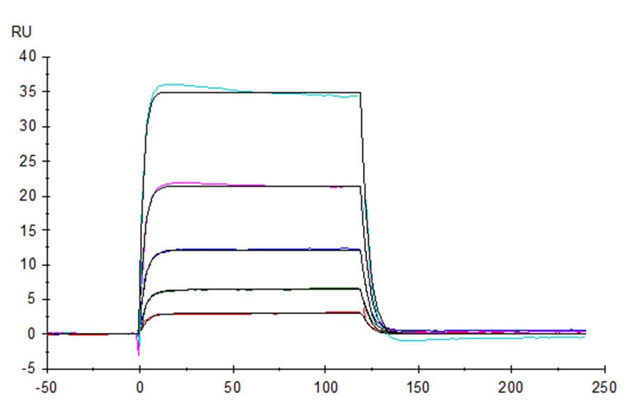 Human B7-H7/HHLA2 Protein (LTP10264)