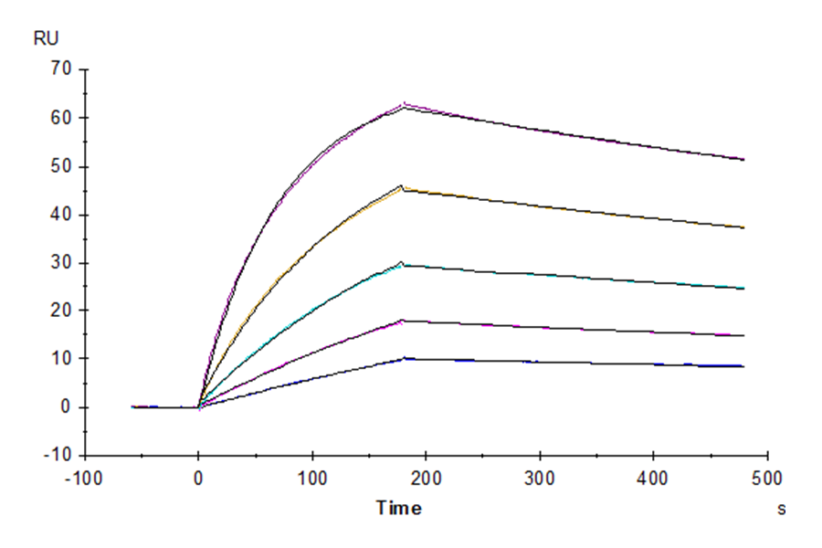 Biotinylated Human Fc gamma RI/CD64 Protein (LTP10271)