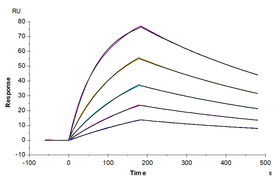 Mouse AXL Protein (LTP10286)