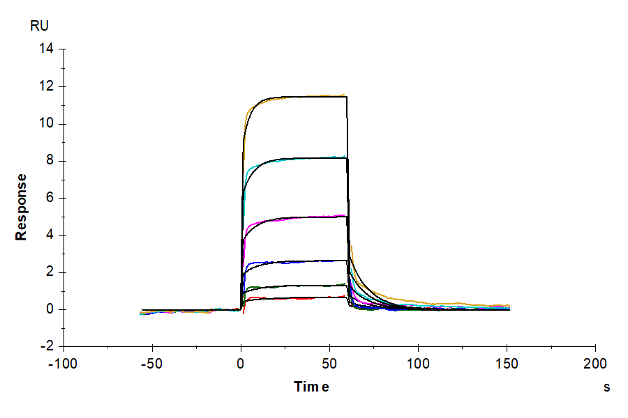 Biotinylated Human CD93/C1q R1 Protein (LTP10288)