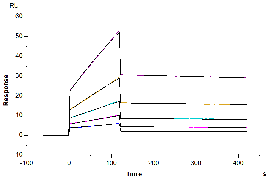 Biotinylated Human ANGPTL2/Angiopoietin-like 2 Protein (LTP10293)