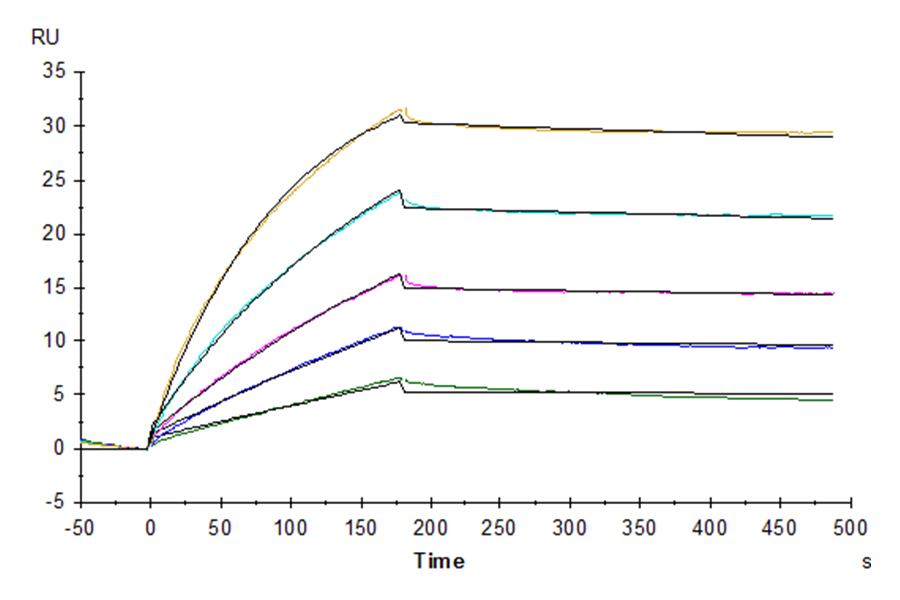 Biotinylated Human CD20 Protein-VLP (LTP10296)