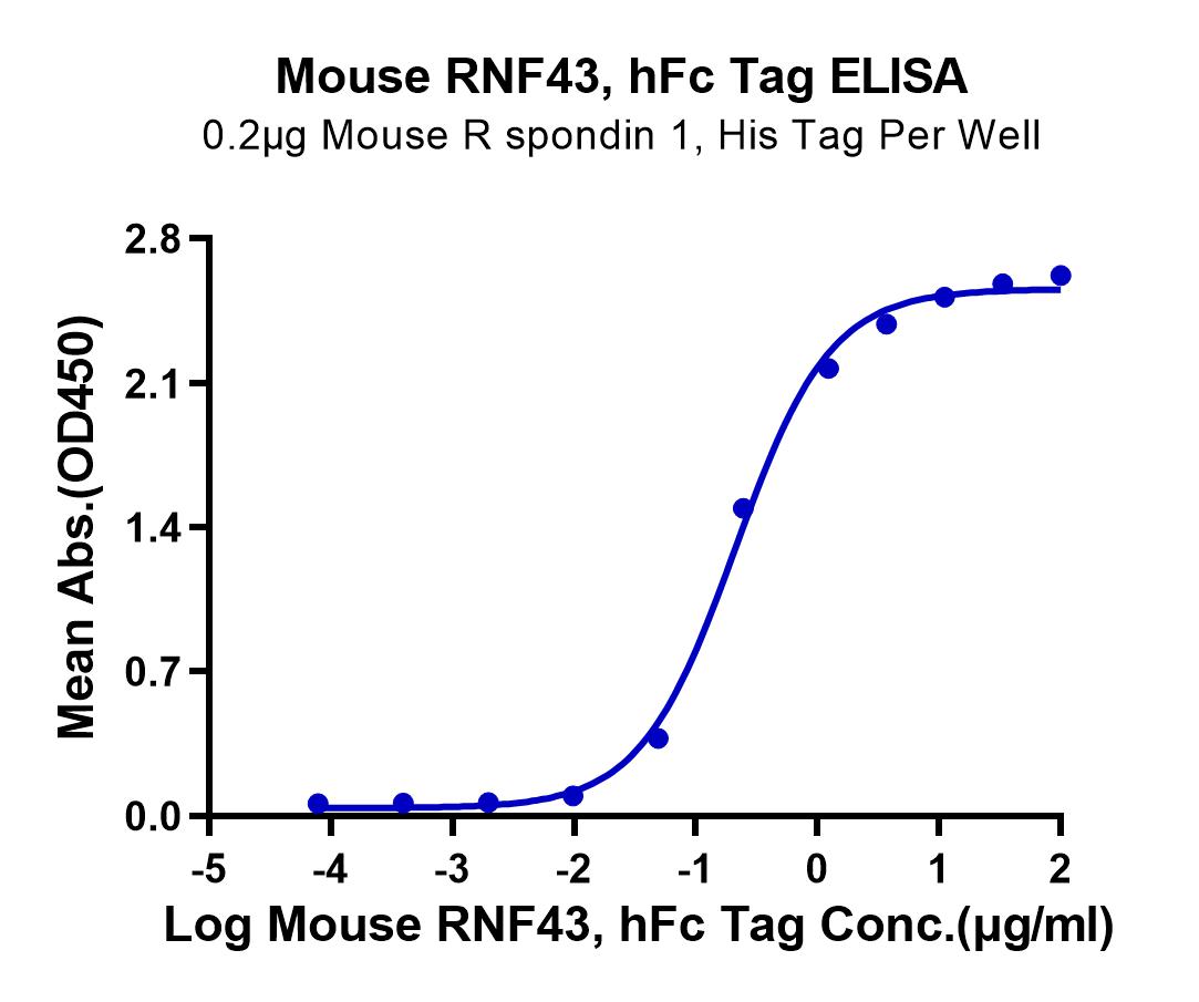 Mouse RNF43 Protein (LTP10345)