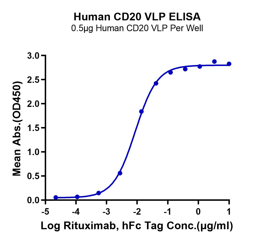 Human CD20 Protein-VLP (LTP10401)