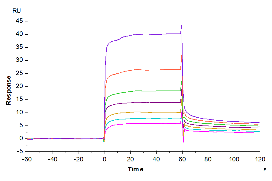 Human TREM2 Protein (LTP10428)