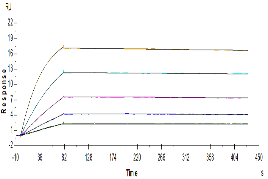 Human IL-18BP Protein (LTP10472)