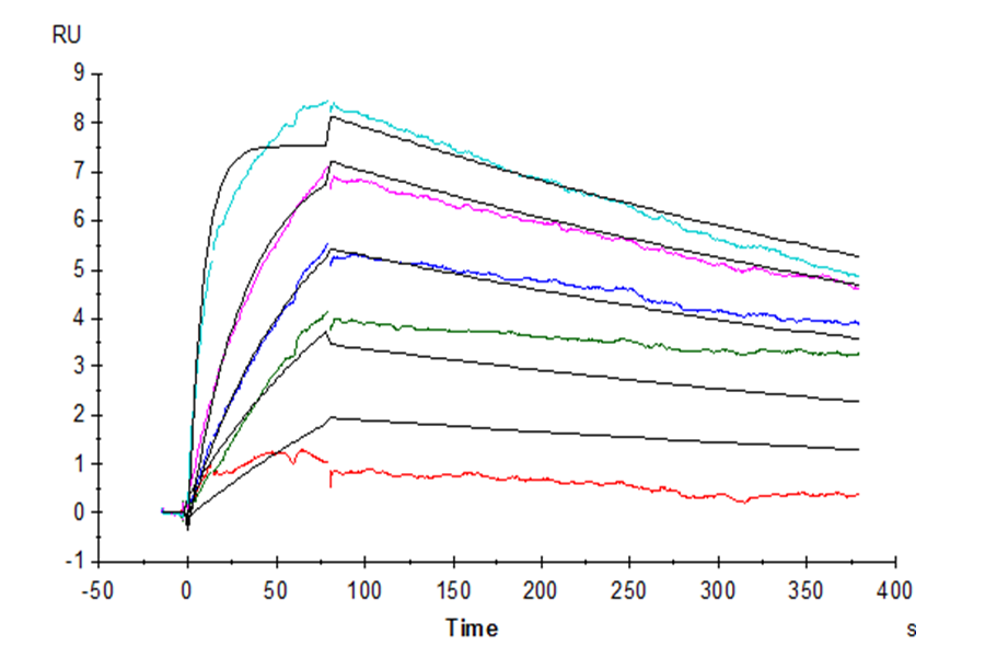 Human IL-31 RA Protein (LTP10483)