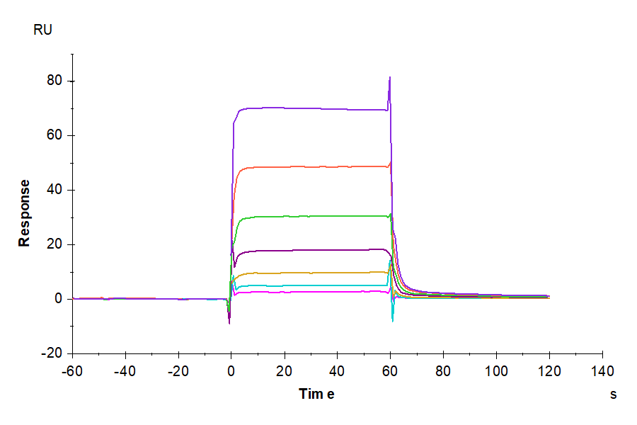 Biotinylated Human PD-1/PDCD1 Protein (LTP10521)