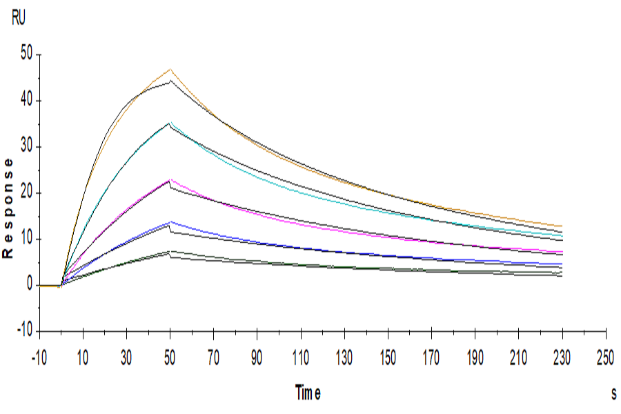 Human IL-5 Protein (LTP10535)