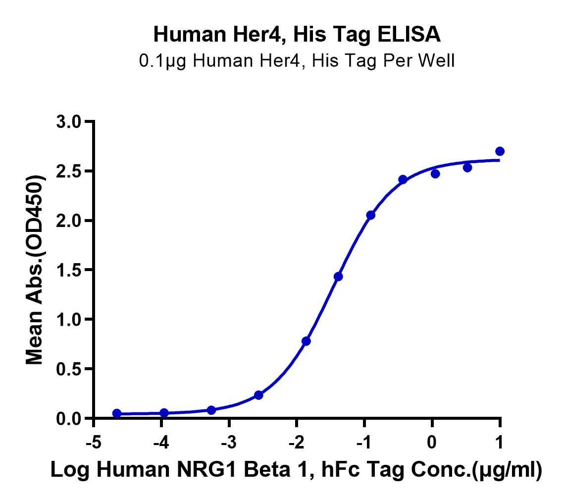Human Her4/ErbB4 Protein (LTP10542)