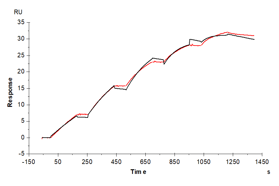 Human VEGF R3/FLT4 Protein (LTP10551)