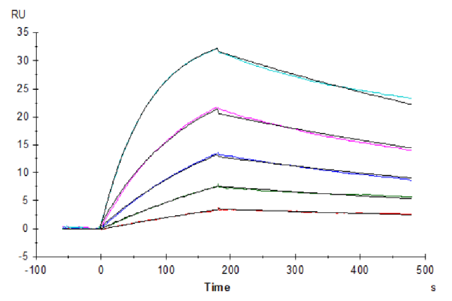 Human M-CSF R/CSF1R/CD115 Protein (LTP10566)