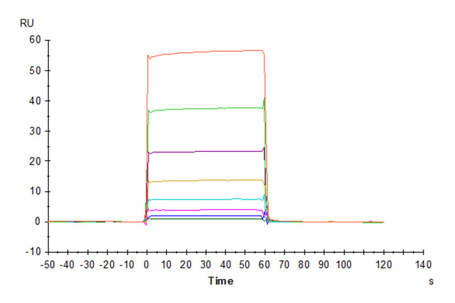 Cynomolgus Fc gamma RIIA/CD32a Protein (LTP10574)