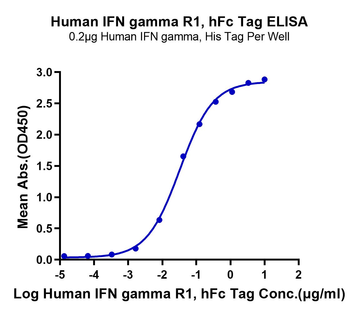 Human IFN gamma R1/IFNGR1 Protein (LTP10587)