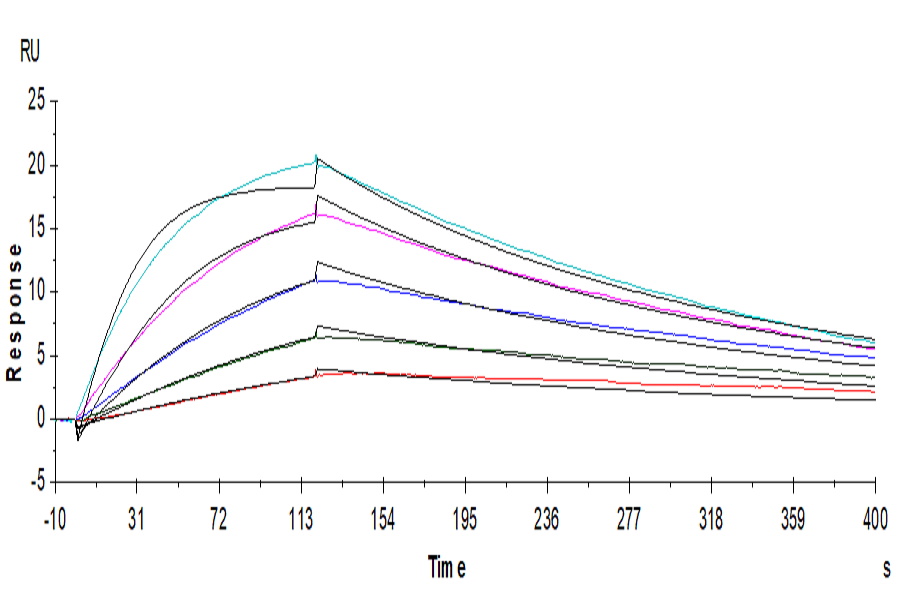 Biotinylated Human IL-18 R1/CD218a Protein (LTP10597)