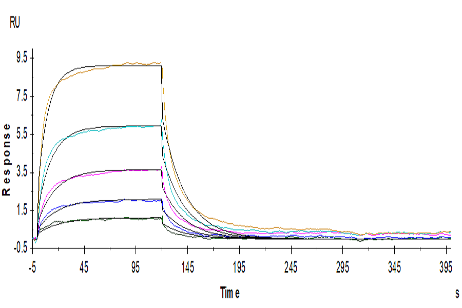 Human B7-H2/ICOSLG Protein (LTP10603)