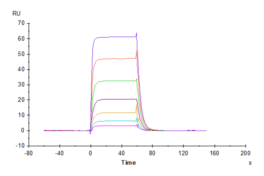 Cynomolgus B7-H6/NCR3LG1 Protein (LTP10604)