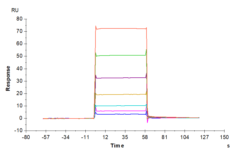 Biotinylated Mouse BCMA/TNFRSF17 Protein (LTP10605)