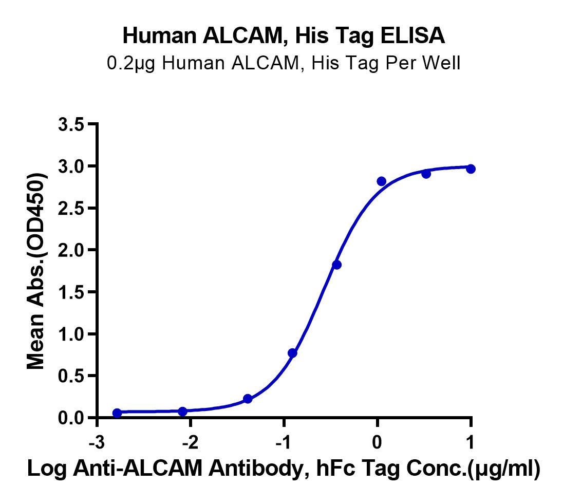 Human ALCAM/CD166 Protein (LTP10609)