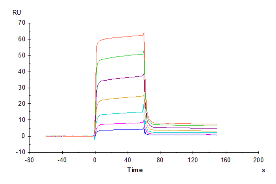 Human B7-H6/NCR3LG1 Protein (LTP10619)