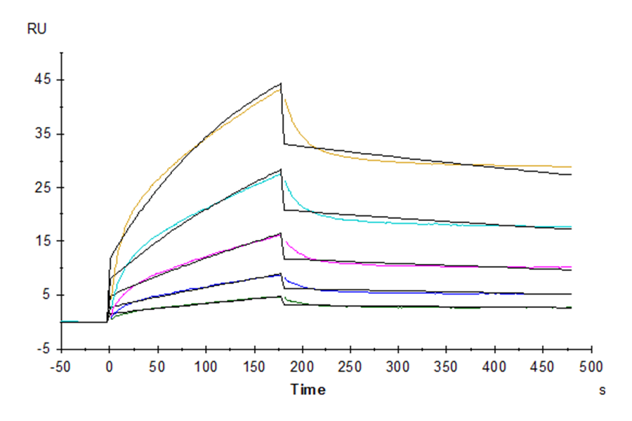 Cynomolgus B7-H2/ICOSLG Protein (LTP10621)