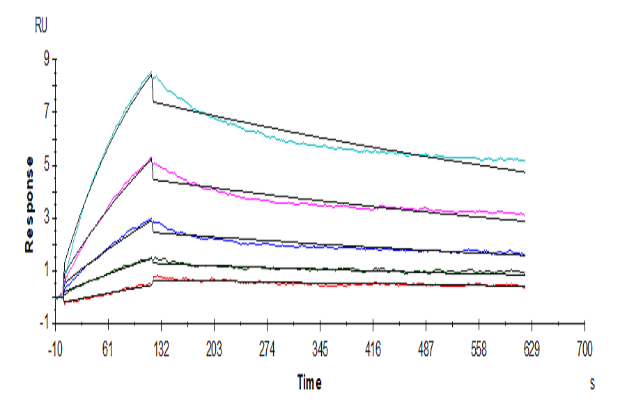 Human ACE2/ACEH Protein (LTP10629)