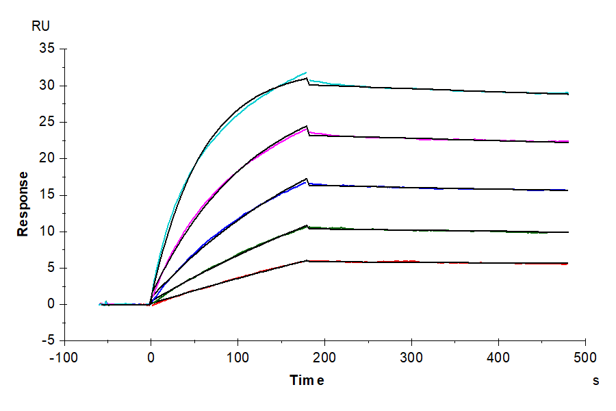 Biotinylated Human IL-17A/CTLA-8 Protein (LTP10651)