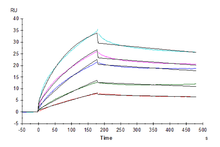 Human HLA-G Tetramer Protein (LTP10673)