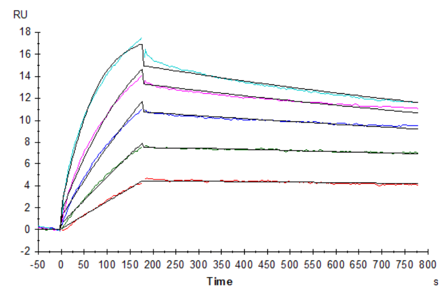 Human Claudin 18.2 Protein-VLP (LTP10686)