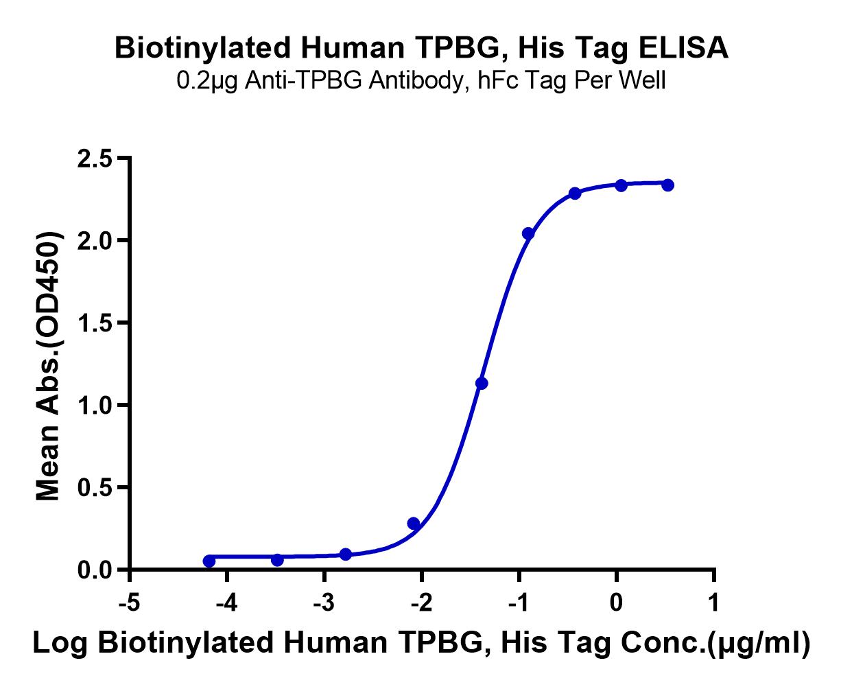 Biotinylated Human TPBG/5T4 Protein (LTP10704)