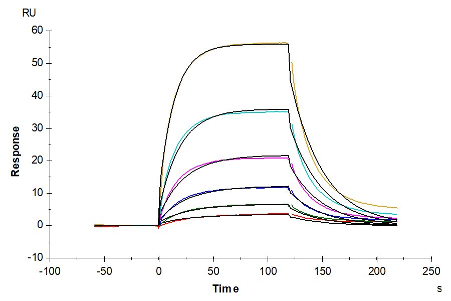 Mouse PD-L1/B7-H1 Protein (LTP10707)