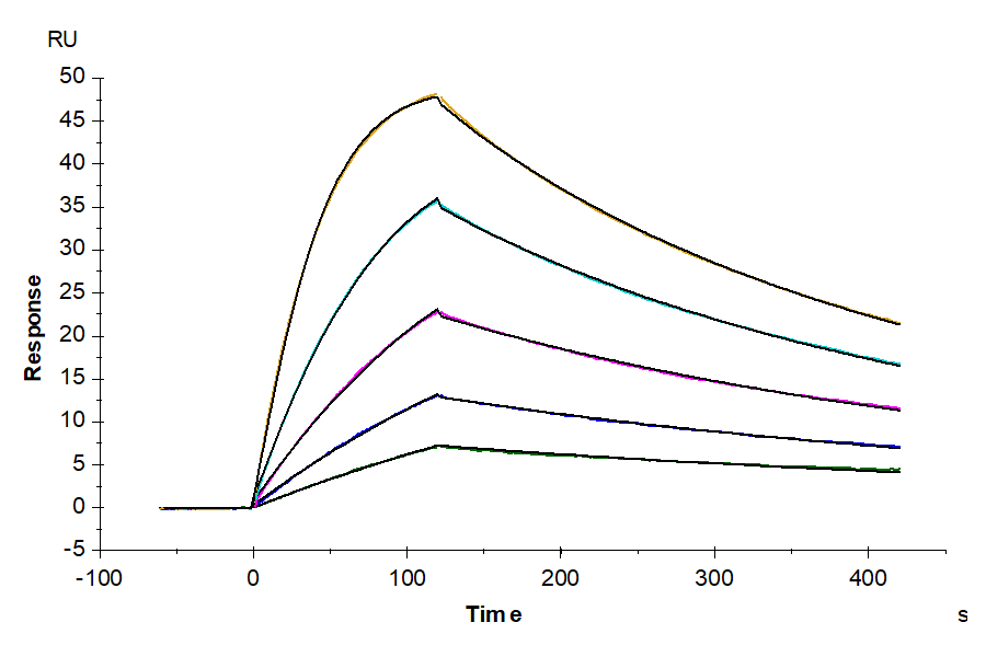 Human IL-18 R1/CD218a Protein (LTP10712)