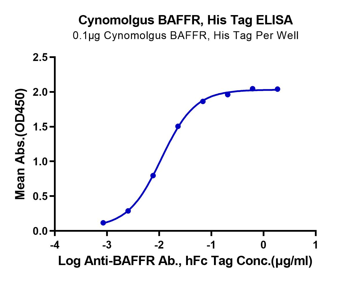 Cynomolgus BAFFR/TNFRSF13C Protein (LTP10719)