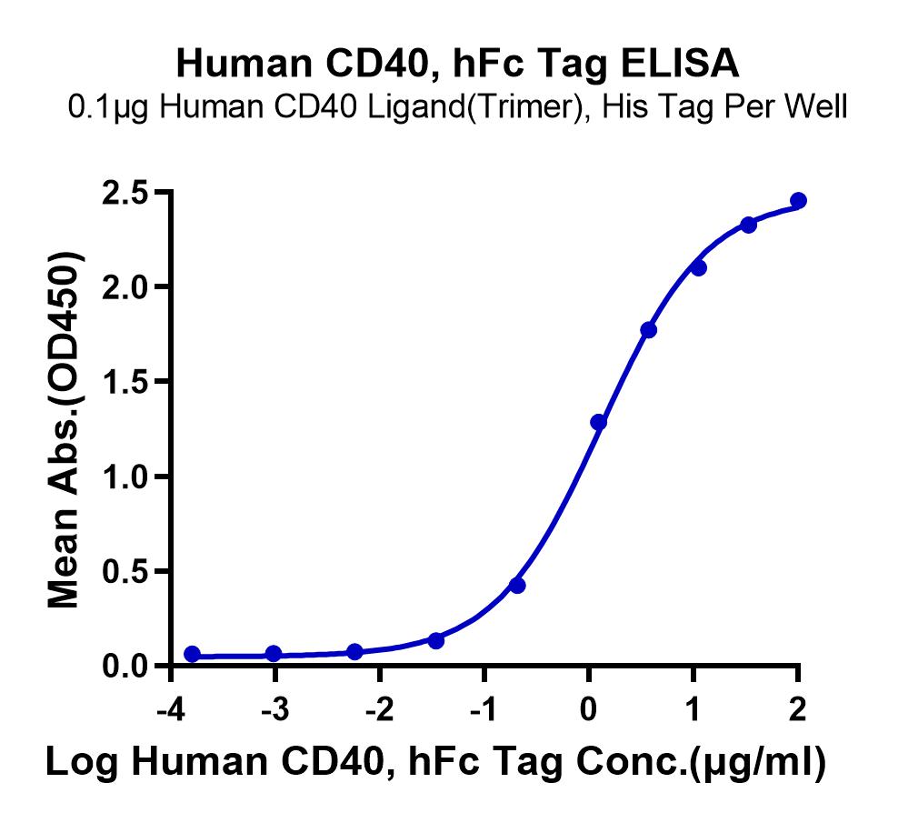 Human CD40/TNFRSF5 Protein (LTP10720)