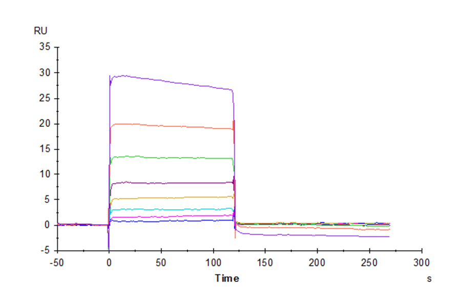 Human TIGIT Protein (LTP10723)