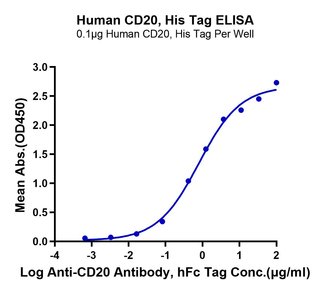 Human CD20/MS4A1 Protein (LTP10725)