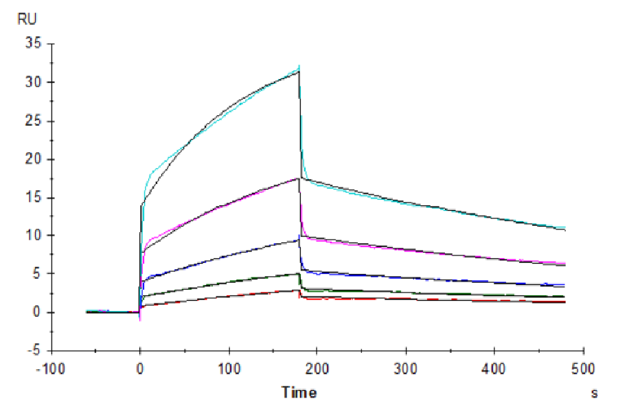 Human B7-H6/NCR3LG1 Protein (LTP10735)