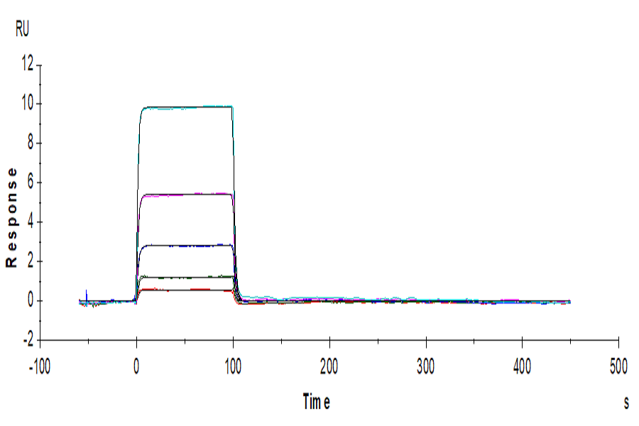 Human TIGIT Protein (LTP10748)