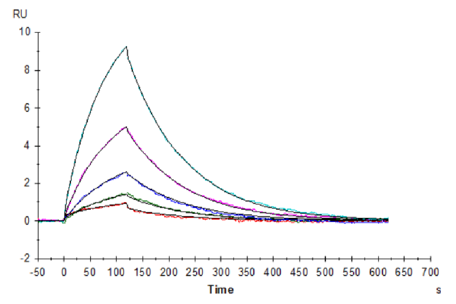 Human CD38 Protein (LTP10753)