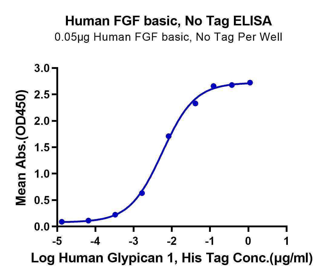 Human FGF basic Protein (LTP10759)